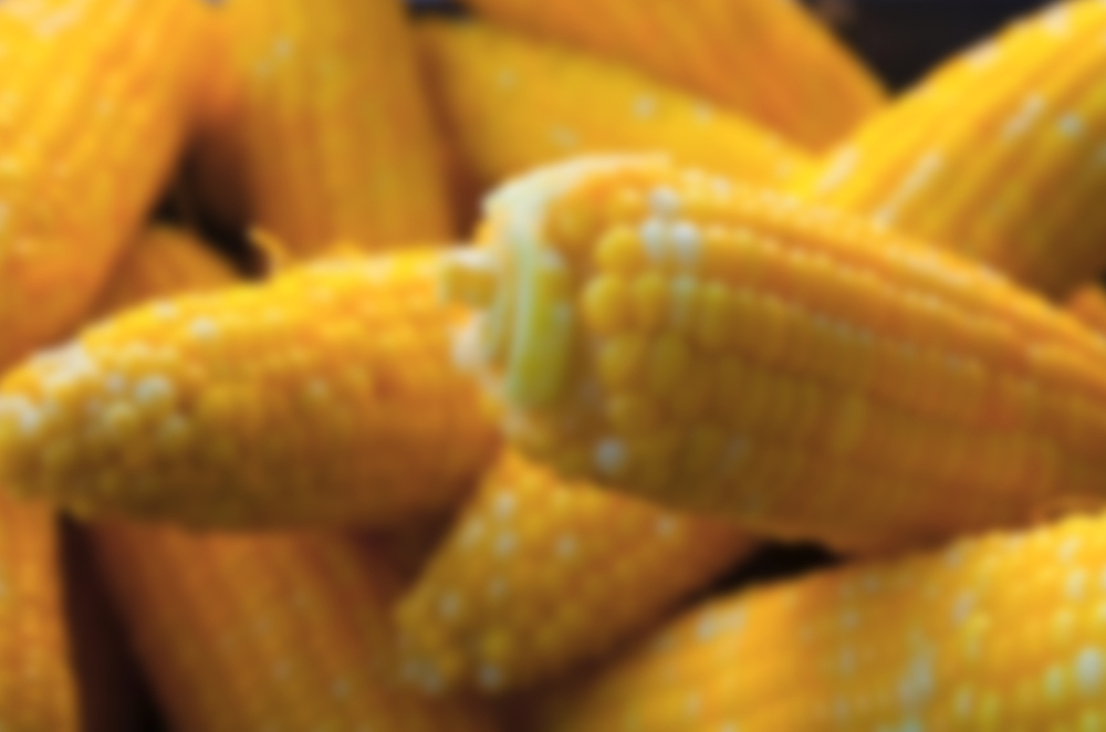 Corn Cobs